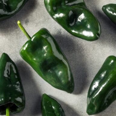 Poblano Peppers