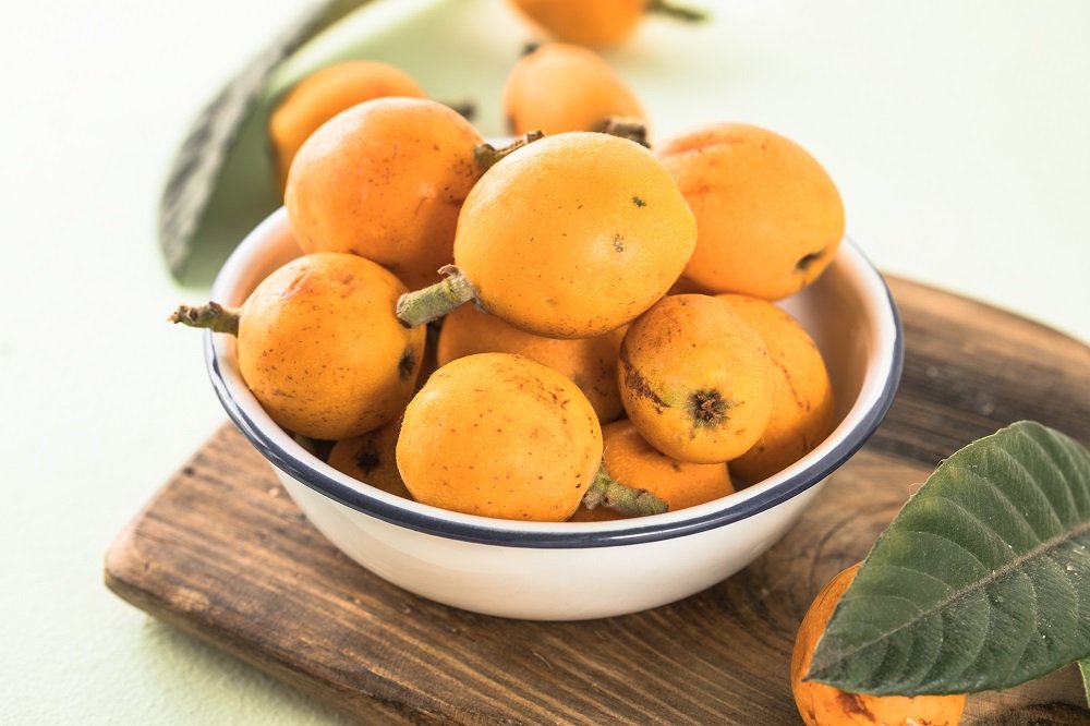 Loquat