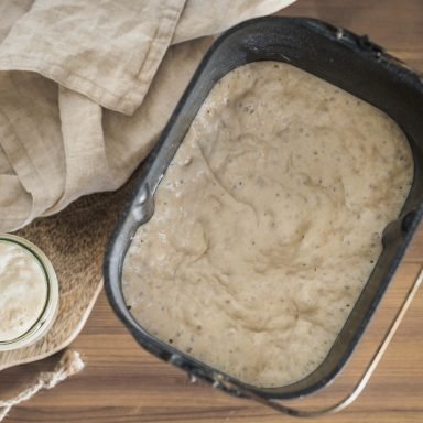 sourdough starter recipe