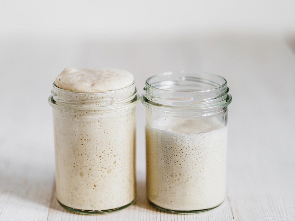 sourdough starter recipe