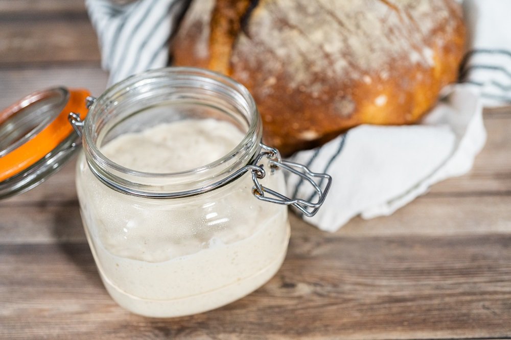 sourdough starter recipe